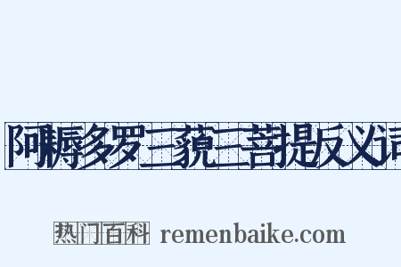 阿耨多罗三藐三菩提反义词是什么意思的图片